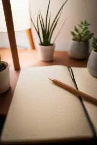 Dernières volontés obsèques : tout ce qu’il faut savoir